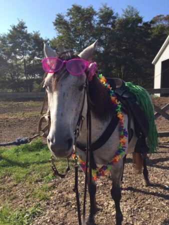 horse halloween costume with flowers