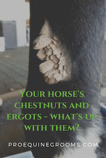 horse chestnuts and ergots