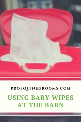 baby-wipes-for-horses