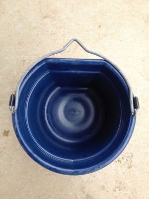 horse-water-bucket