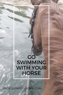 swimming-with-horse