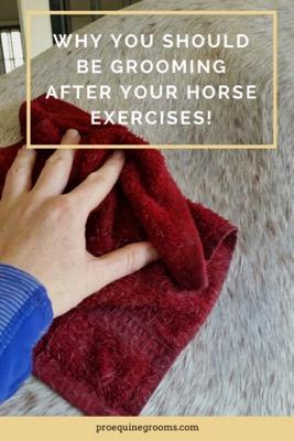 groom-horse-after-exercise