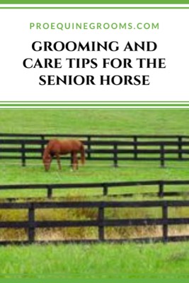 Grooming tips for the senior horse