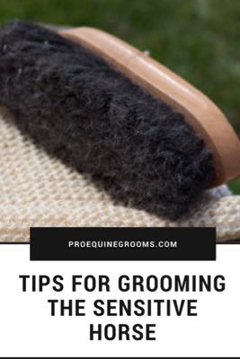 grooming-sensitive-horse