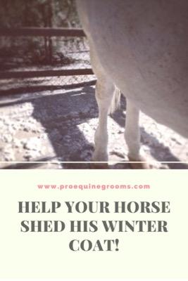 help your horse shed his winter coat