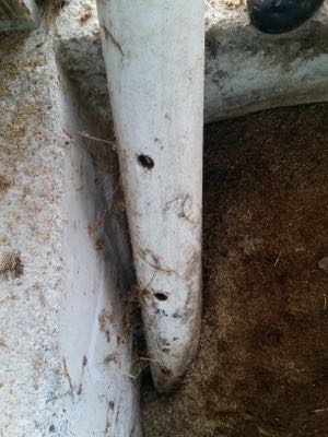 pvc pipe with holes for compost bin