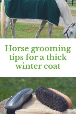 horse grooming for the thick winter coat