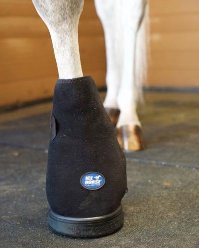 hoof boot on a gray pony