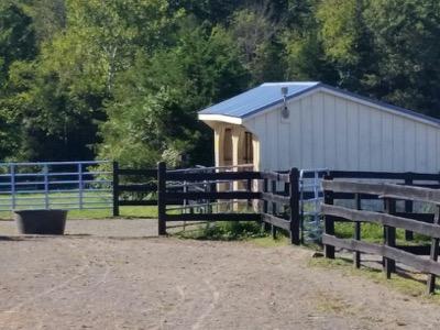 Dry lot with run in shed attached