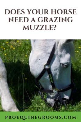 does your horse need a grazing muzzle