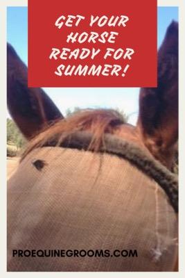 horse-ready-for-summer