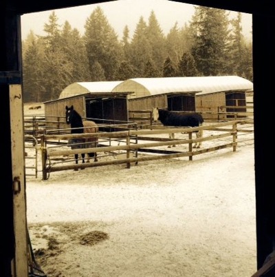 snow-ice-barn
