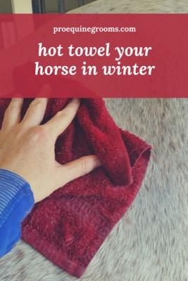 hot-towel-horse