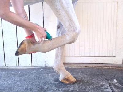 clipping hack for lower legs