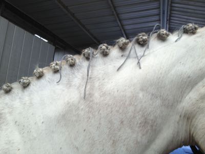 horse-braids-with-yarn