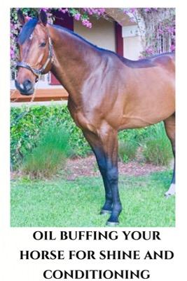 oil buffing your horse