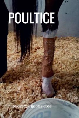 horse-poultice-for-legs