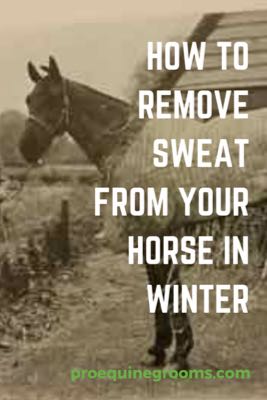 remove sweat from your horse in winter