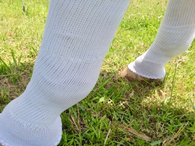 sox for horses silver whinny leg protection