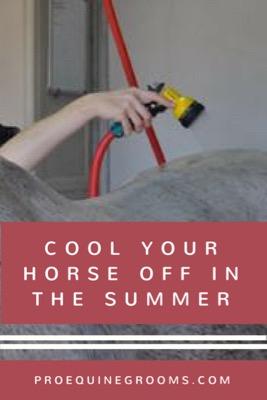 keep-horse-cool-summer