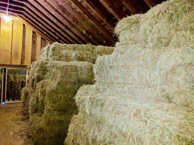 stacks of hay in a hay loft