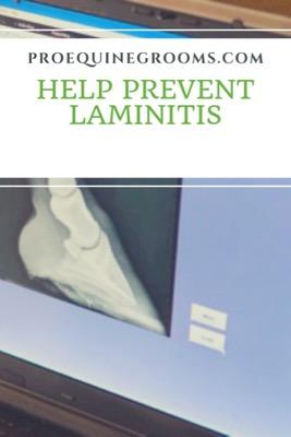 help prevent laminitis