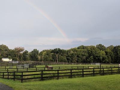 rainbow over horse pastuer
