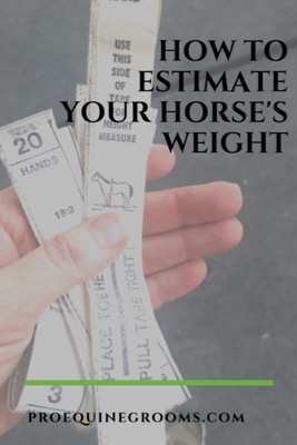 estimate your horse's weight
