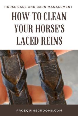 leather reins cleaning