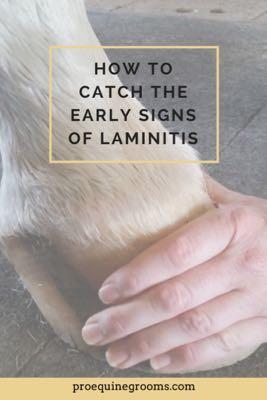 early signs of laminitis