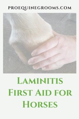 first aid for laminitis