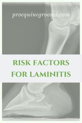 risk factors for lamininitis