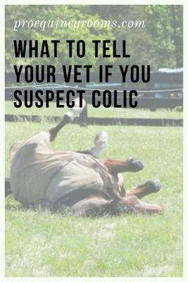 call the vet if you suspect colic