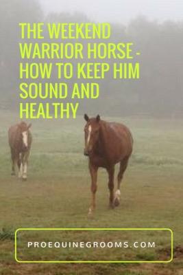 care for the weekend warrior horse