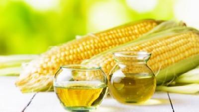 corn oil in cups in front of corn cob