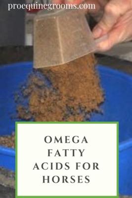 omega fatty acids for horses