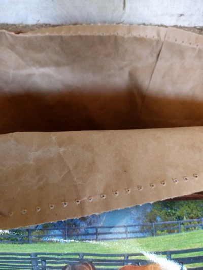 paper lined feed bag.jpg