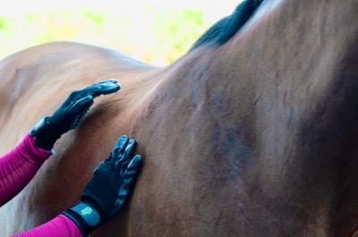 HandsOn Gloves on horse_.jpg