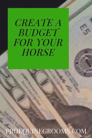 make a horse budget