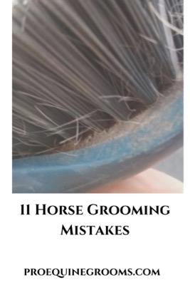 horse grooming mistakes
