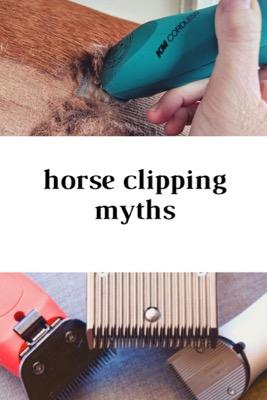 horse clipping myths