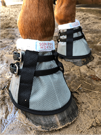 sox for horses bell boot