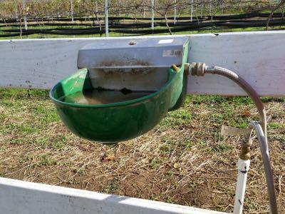 rusty and small automatic waterer