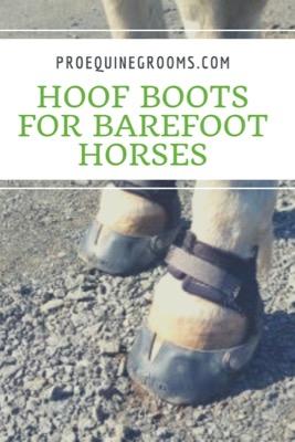 hoof boots for barefoot horses