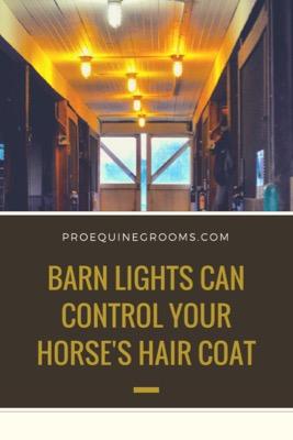 lights can control your horse's hair coat