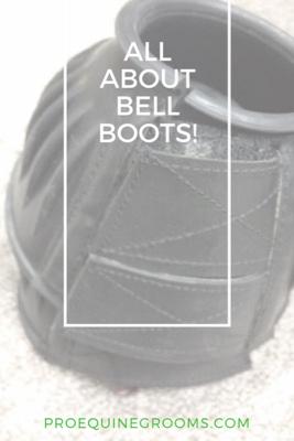 all about bell boots for horses