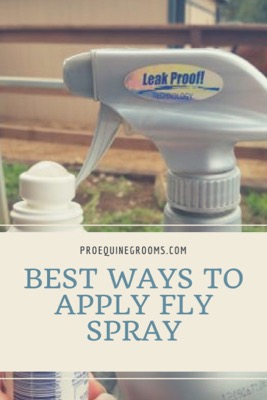 apply-fly-spray