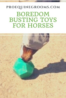 boredom busting toys for horses