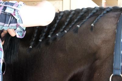 How To Braid A Horse's Mane 