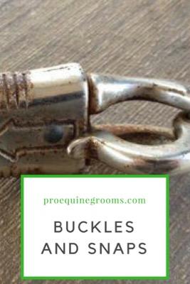 buckles and snaps for horses
